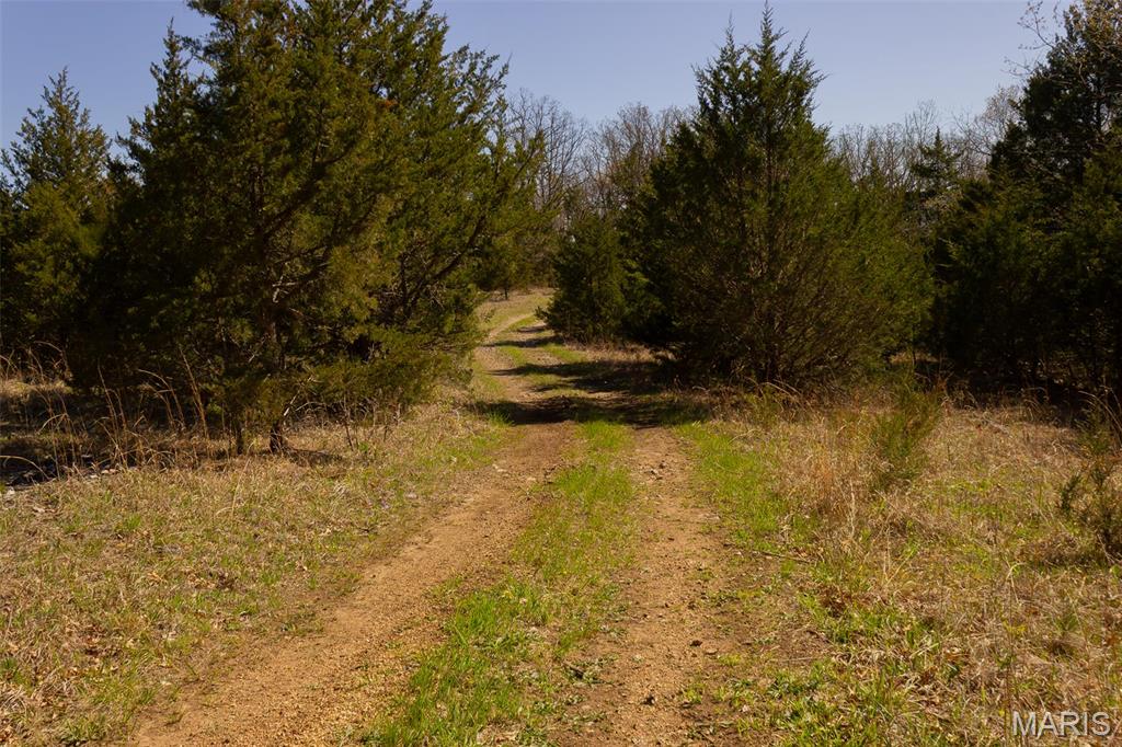 0 Dodds Camp Road Climax Springs, MO 65324 - Photo 43 of 79