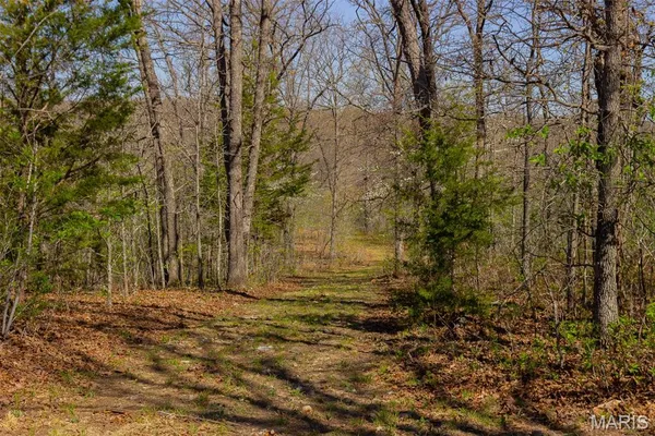 $305,000 | 0 Dodds Camp Road, Climax Springs, MO 65324