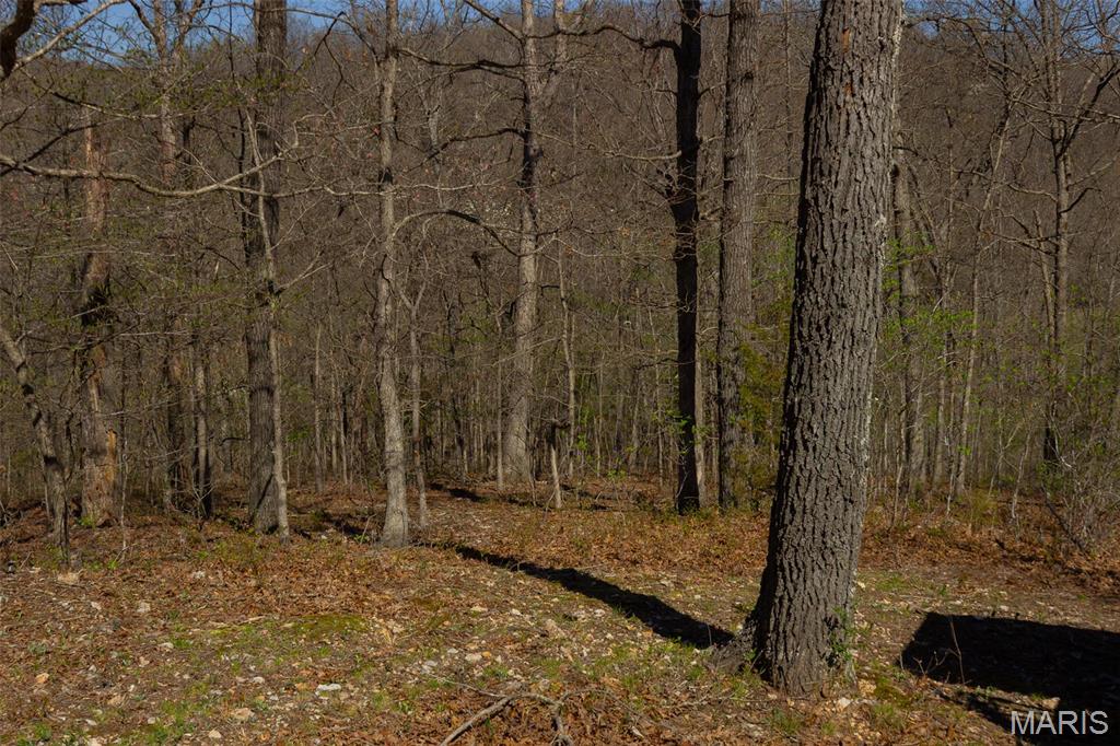 0 Dodds Camp Road Climax Springs, MO 65324 - Photo 46 of 79