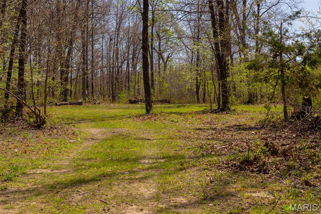 0 Dodds Camp Road Climax Springs, MO 65324 - Photo 49 of 79