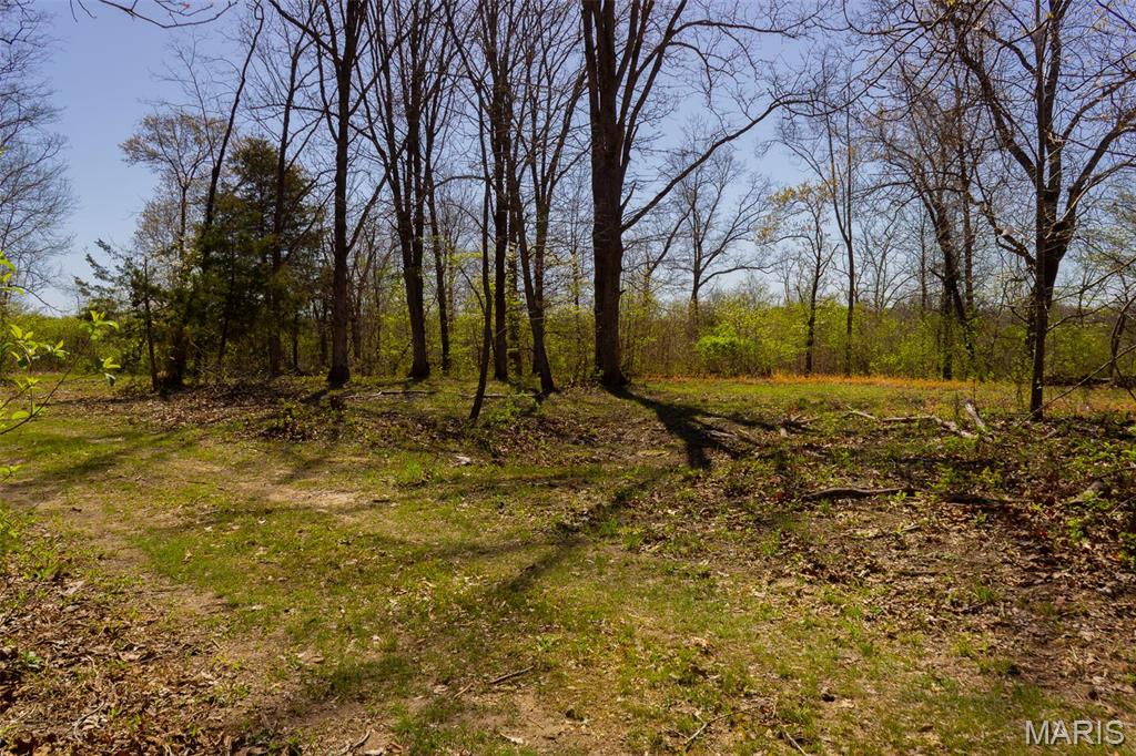 0 Dodds Camp Road Climax Springs, MO 65324 - Photo 50 of 79