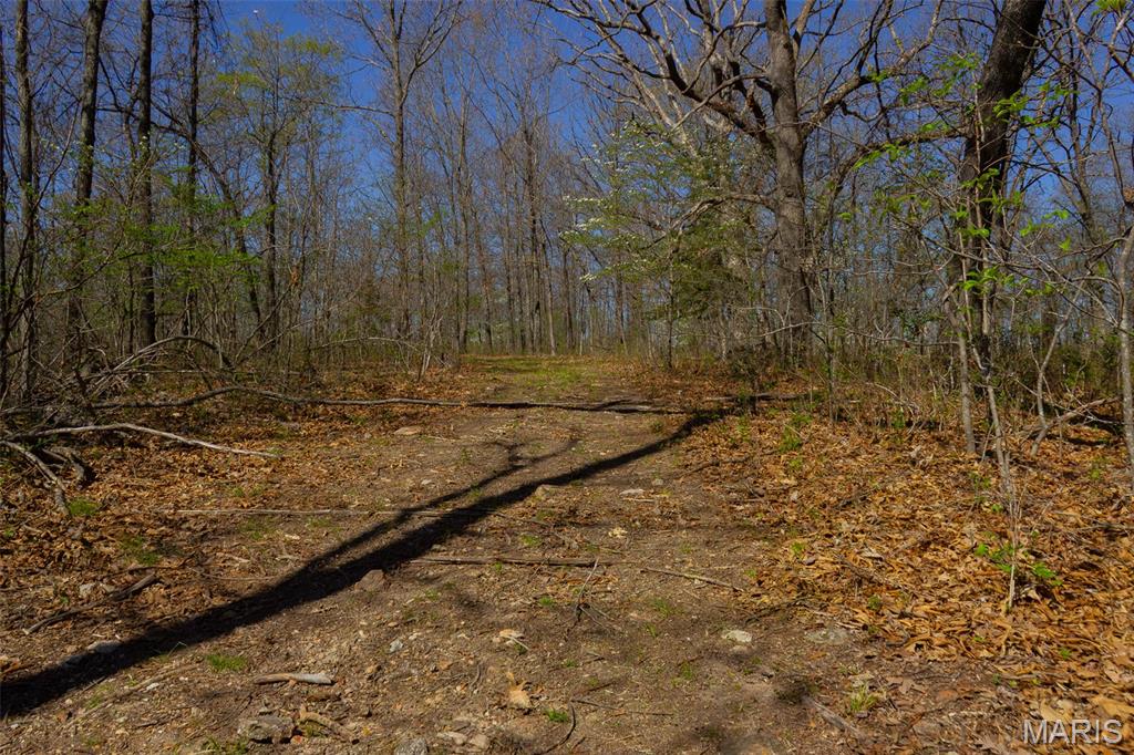 0 Dodds Camp Road Climax Springs, MO 65324 - Photo 51 of 79