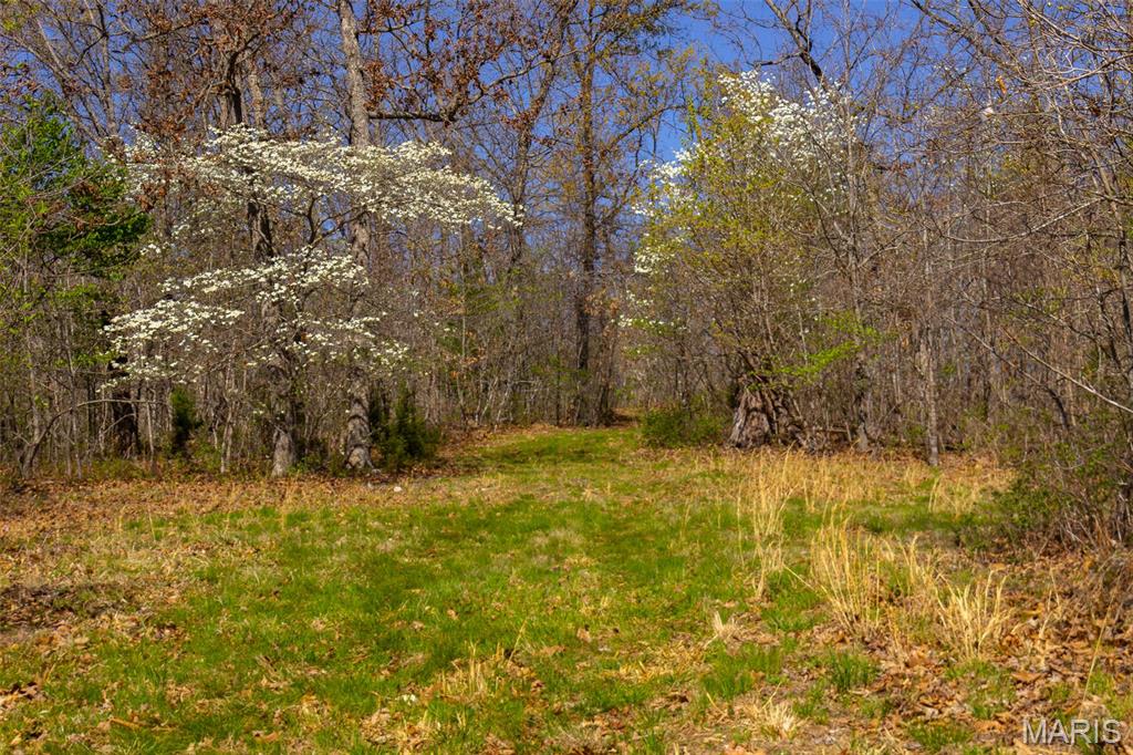 0 Dodds Camp Road Climax Springs, MO 65324 - Photo 52 of 79
