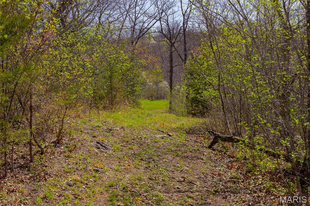 0 Dodds Camp Road Climax Springs, MO 65324 - Photo 53 of 79