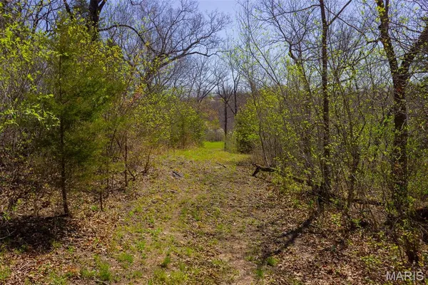 $305,000 | 0 Dodds Camp Road, Climax Springs, MO 65324