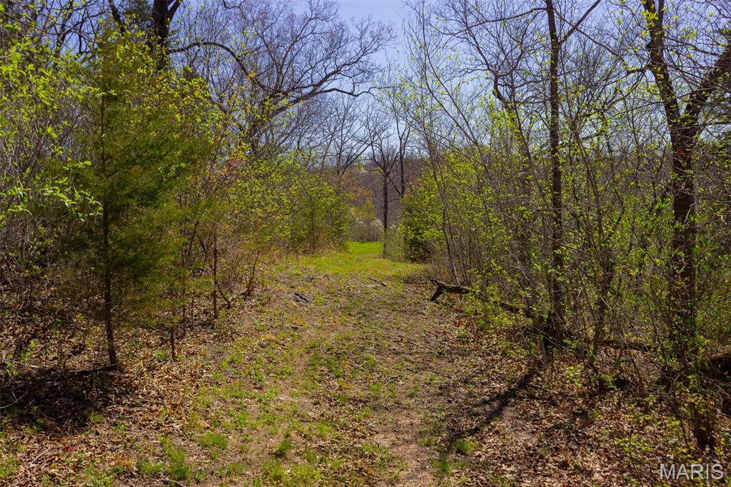 0 Dodds Camp Road Climax Springs, MO 65324 - Photo 54 of 79