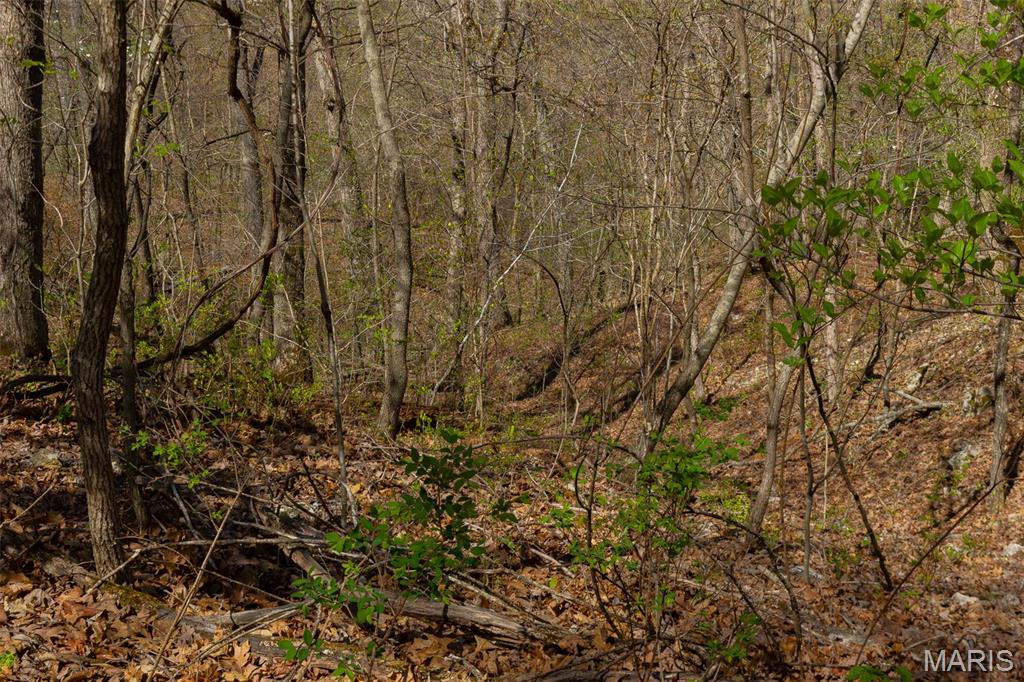 0 Dodds Camp Road Climax Springs, MO 65324 - Photo 56 of 79