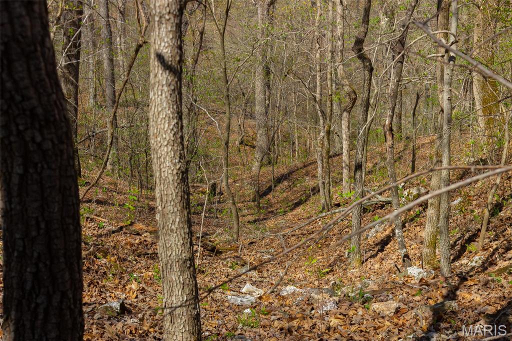 0 Dodds Camp Road Climax Springs, MO 65324 - Photo 57 of 79