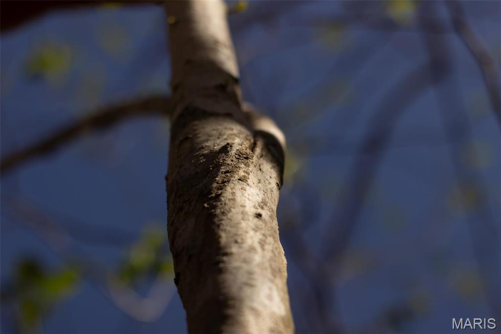 0 Dodds Camp Road Climax Springs, MO 65324 - Photo 58 of 79