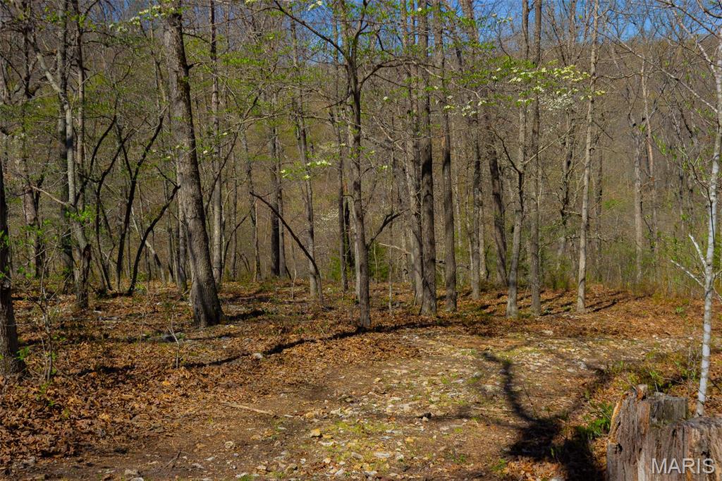 0 Dodds Camp Road Climax Springs, MO 65324 - Photo 59 of 79