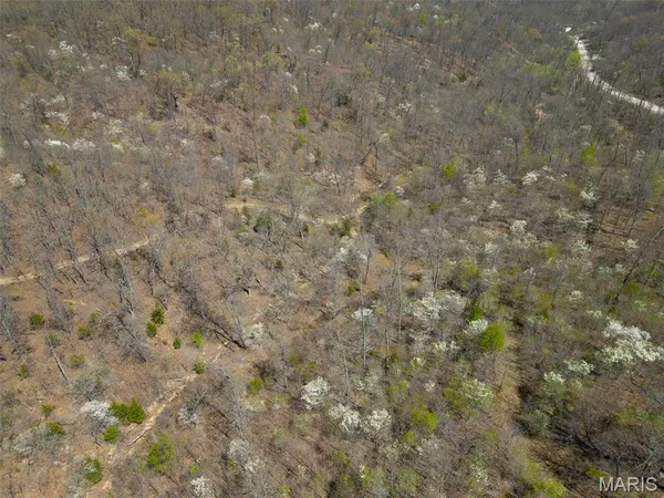 $305,000 | 0 Dodds Camp Road, Climax Springs, MO 65324
