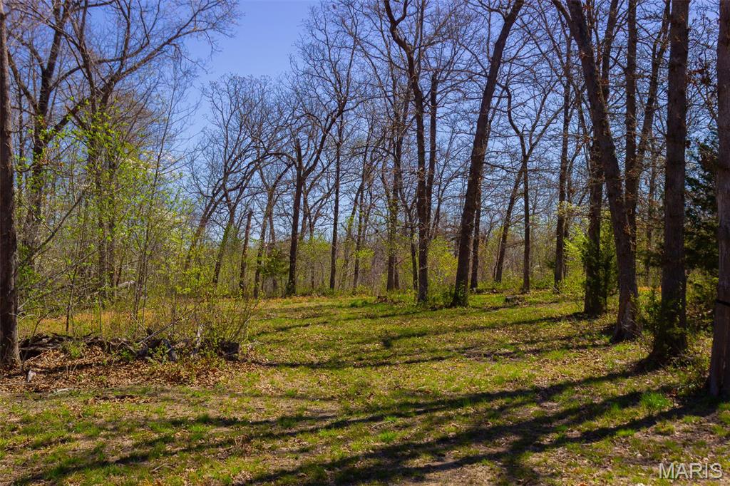 0 Dodds Camp Road Climax Springs, MO 65324 - Photo 61 of 79