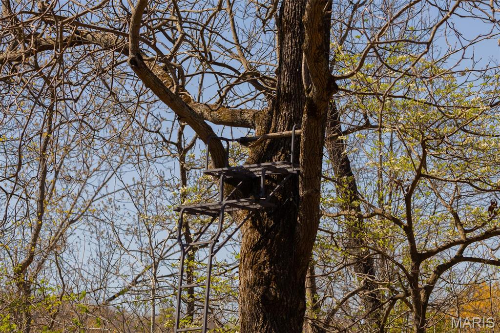 0 Dodds Camp Road Climax Springs, MO 65324 - Photo 62 of 79