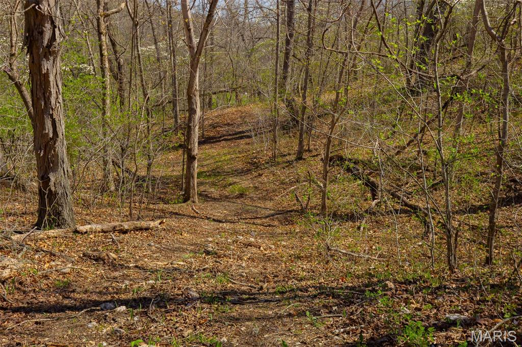 0 Dodds Camp Road Climax Springs, MO 65324 - Photo 63 of 79