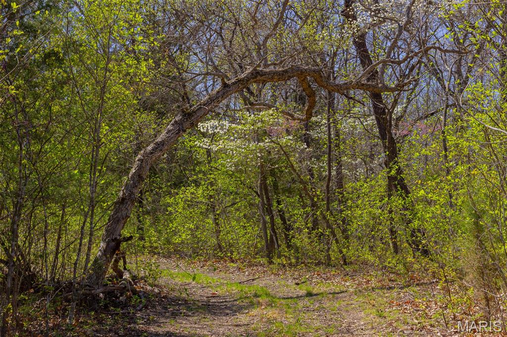 0 Dodds Camp Road Climax Springs, MO 65324 - Photo 65 of 79