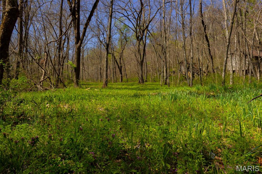 0 Dodds Camp Road Climax Springs, MO 65324 - Photo 68 of 79
