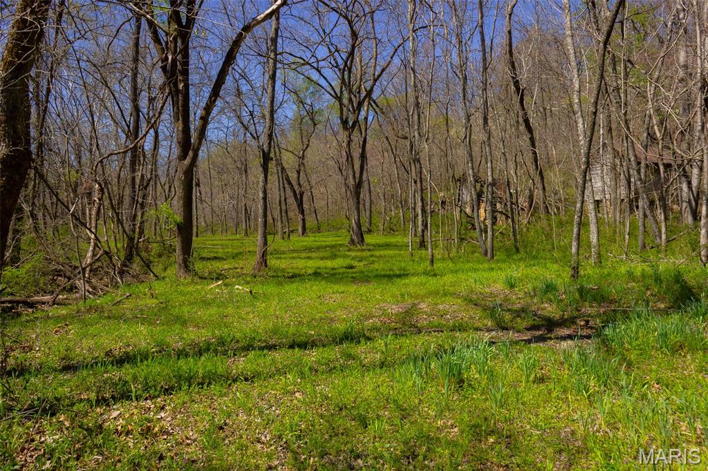 0 Dodds Camp Road Climax Springs, MO 65324 - Photo 69 of 79