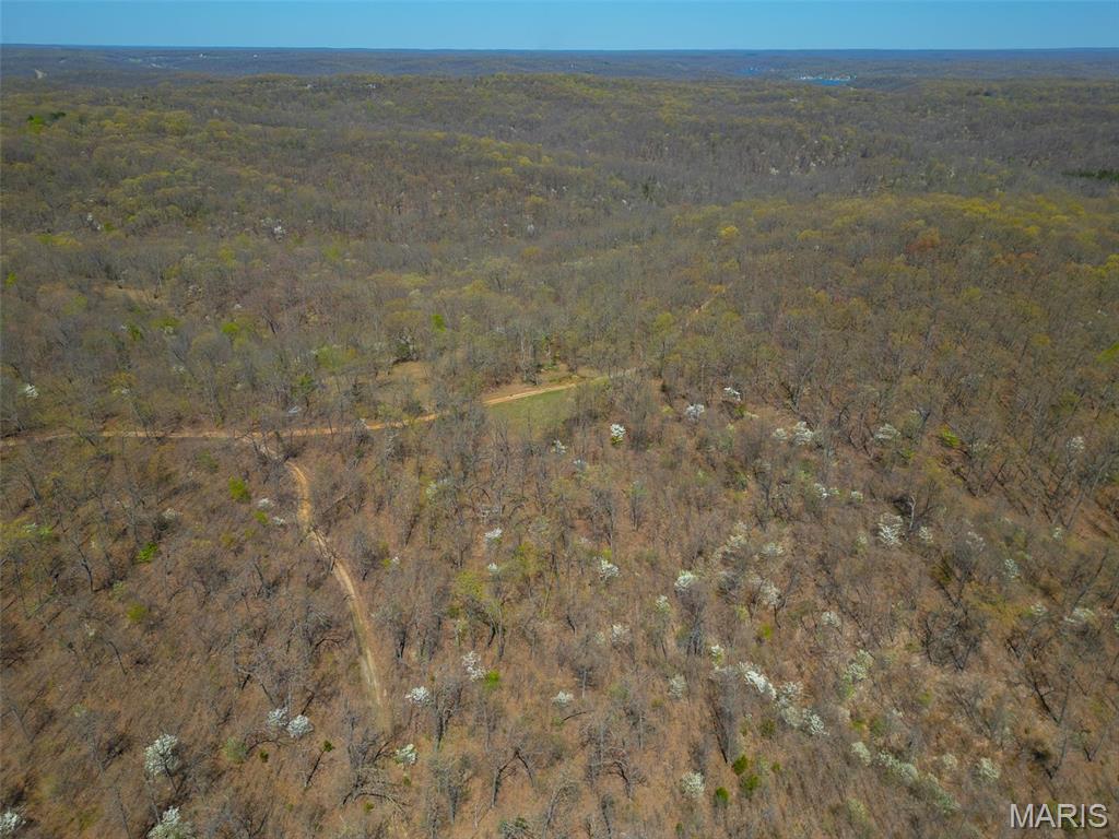 0 Dodds Camp Road Climax Springs, MO 65324 - Photo 7 of 79