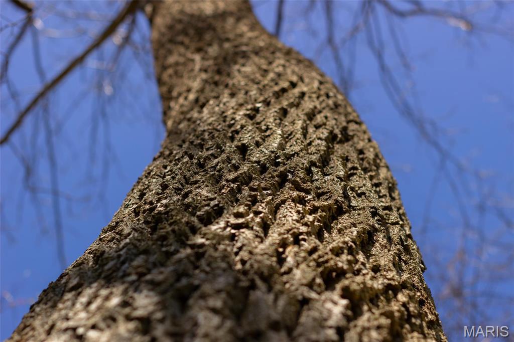 0 Dodds Camp Road Climax Springs, MO 65324 - Photo 73 of 79