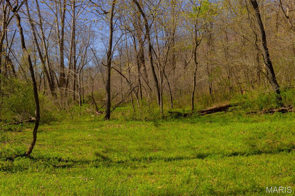 0 Dodds Camp Road Climax Springs, MO 65324 - Photo 74 of 79