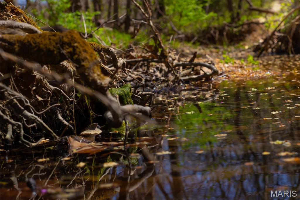 0 Dodds Camp Road Climax Springs, MO 65324 - Photo 75 of 79