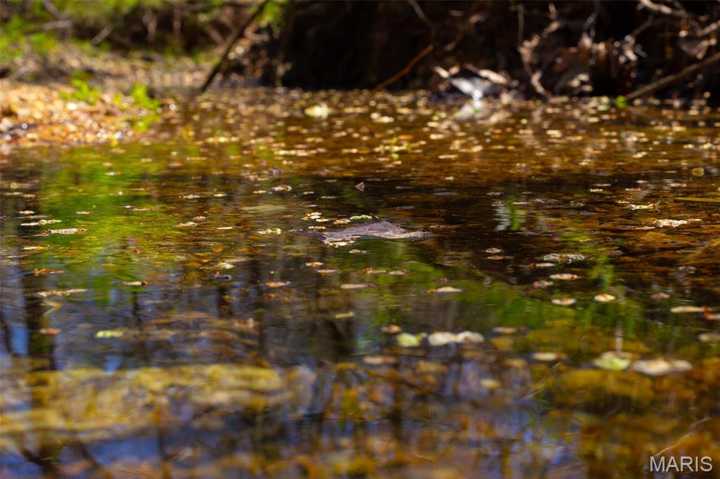 0 Dodds Camp Road Climax Springs, MO 65324 - Photo 76 of 79