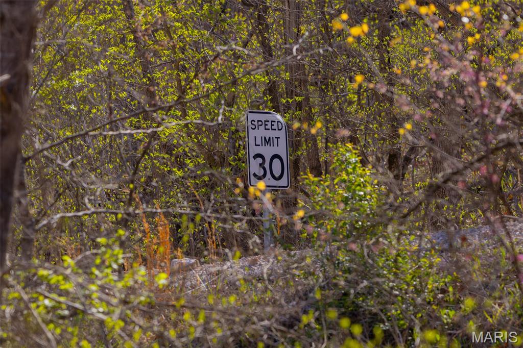 0 Dodds Camp Road Climax Springs, MO 65324 - Photo 77 of 79