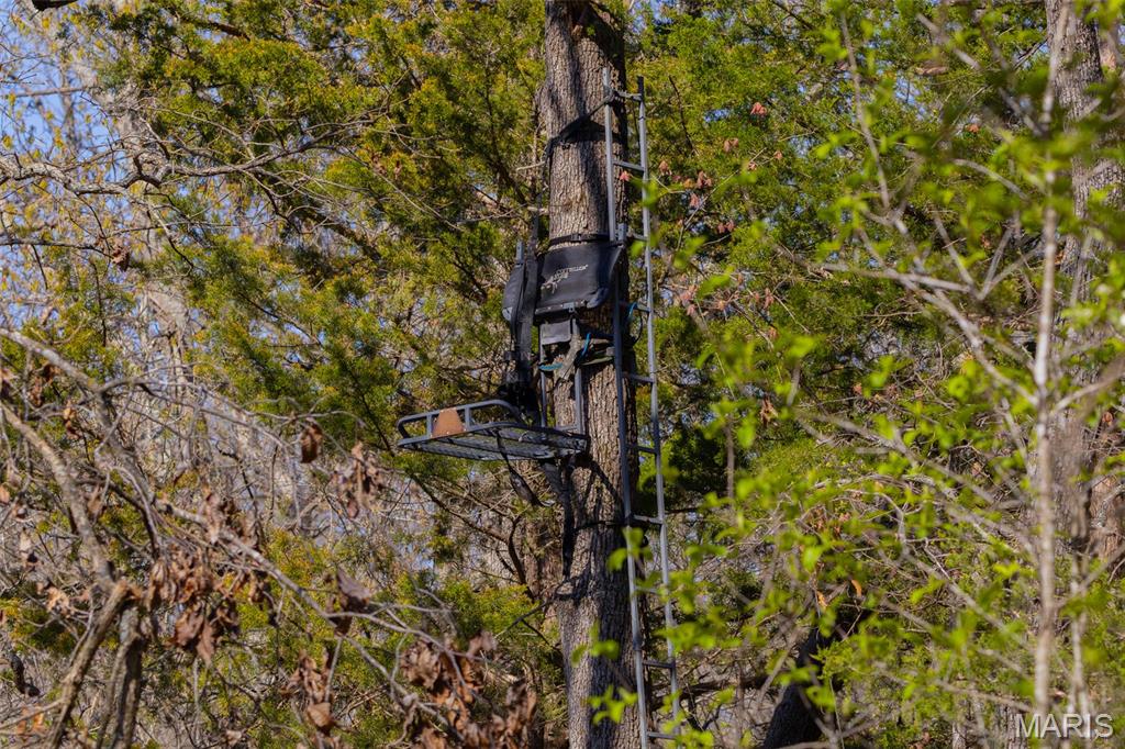 0 Dodds Camp Road Climax Springs, MO 65324 - Photo 78 of 79