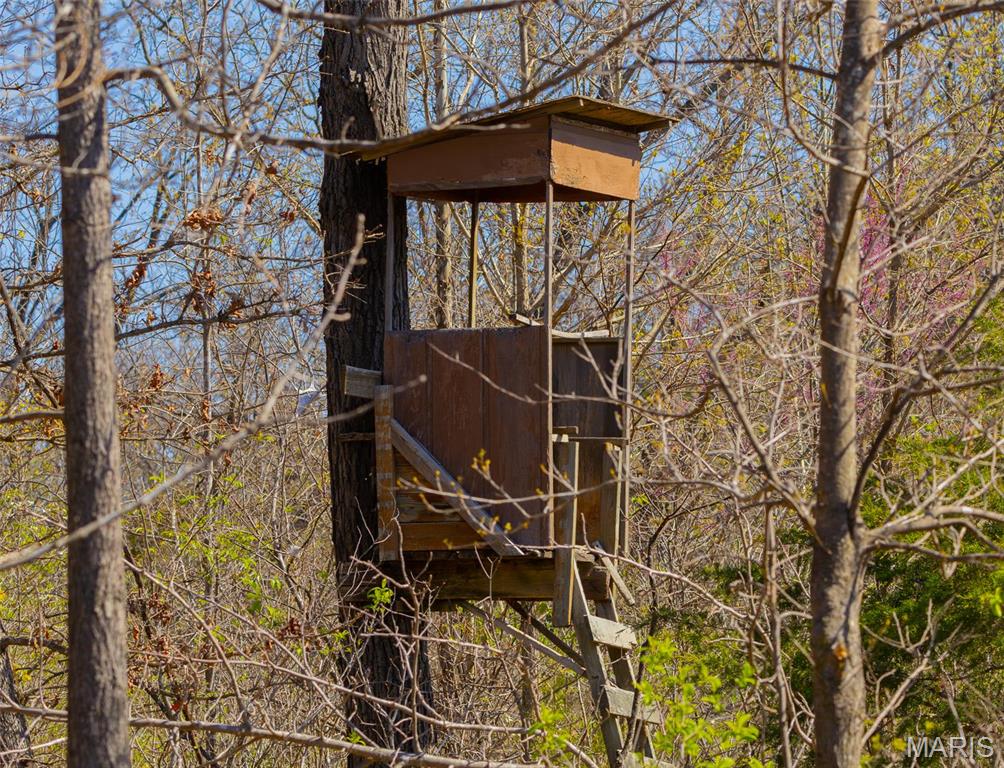 0 Dodds Camp Road Climax Springs, MO 65324 - Photo 79 of 79