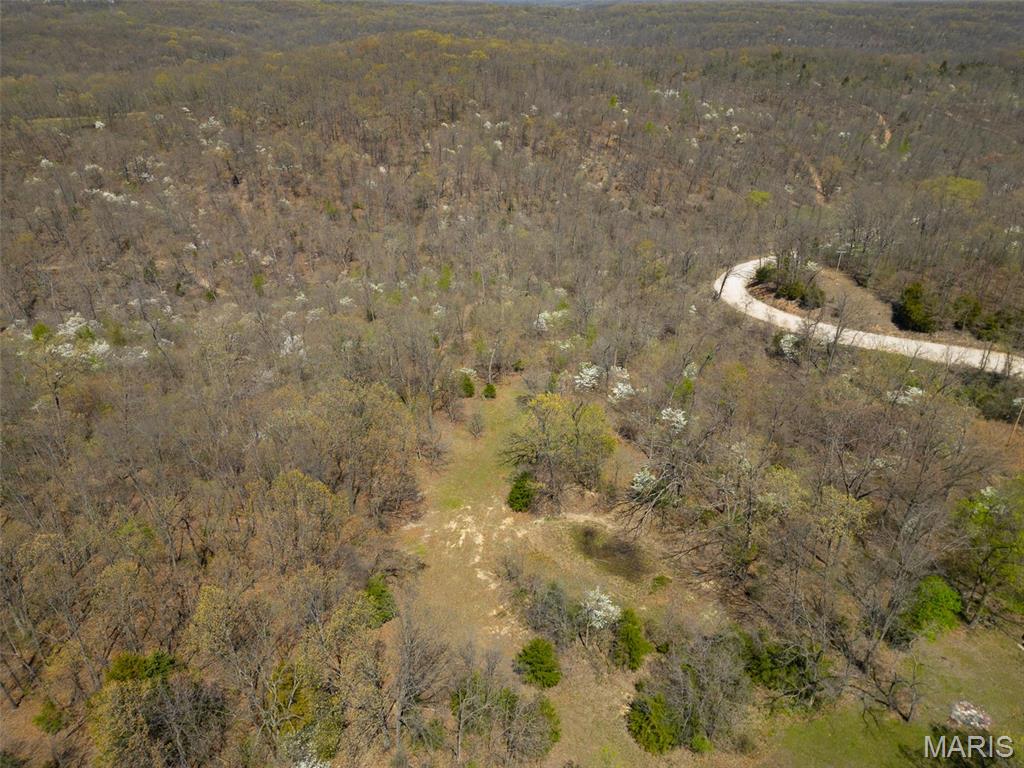 0 Dodds Camp Road Climax Springs, MO 65324 - Photo 9 of 79