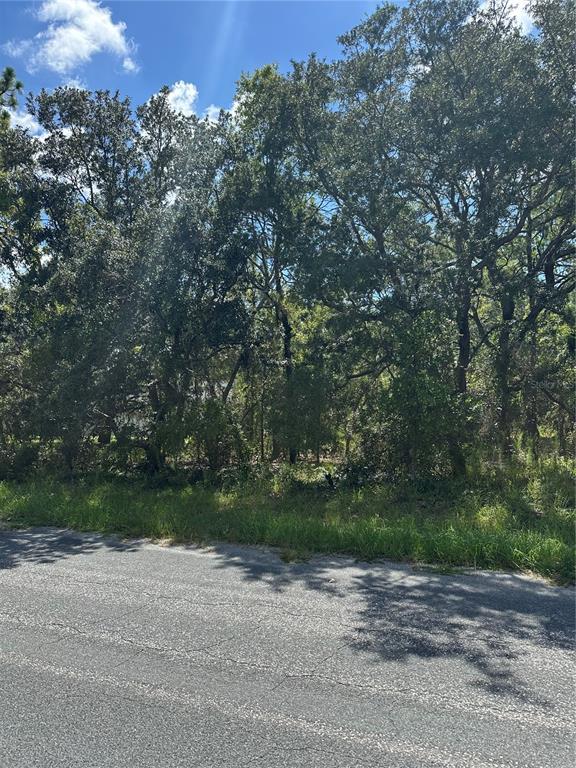 a view of a yard with a tree