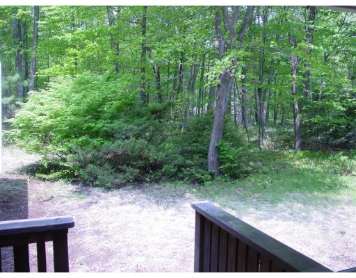 40 Estabrook Road Carlisle, MA 01741 - Photo 11 of 23 Gallery Image 11