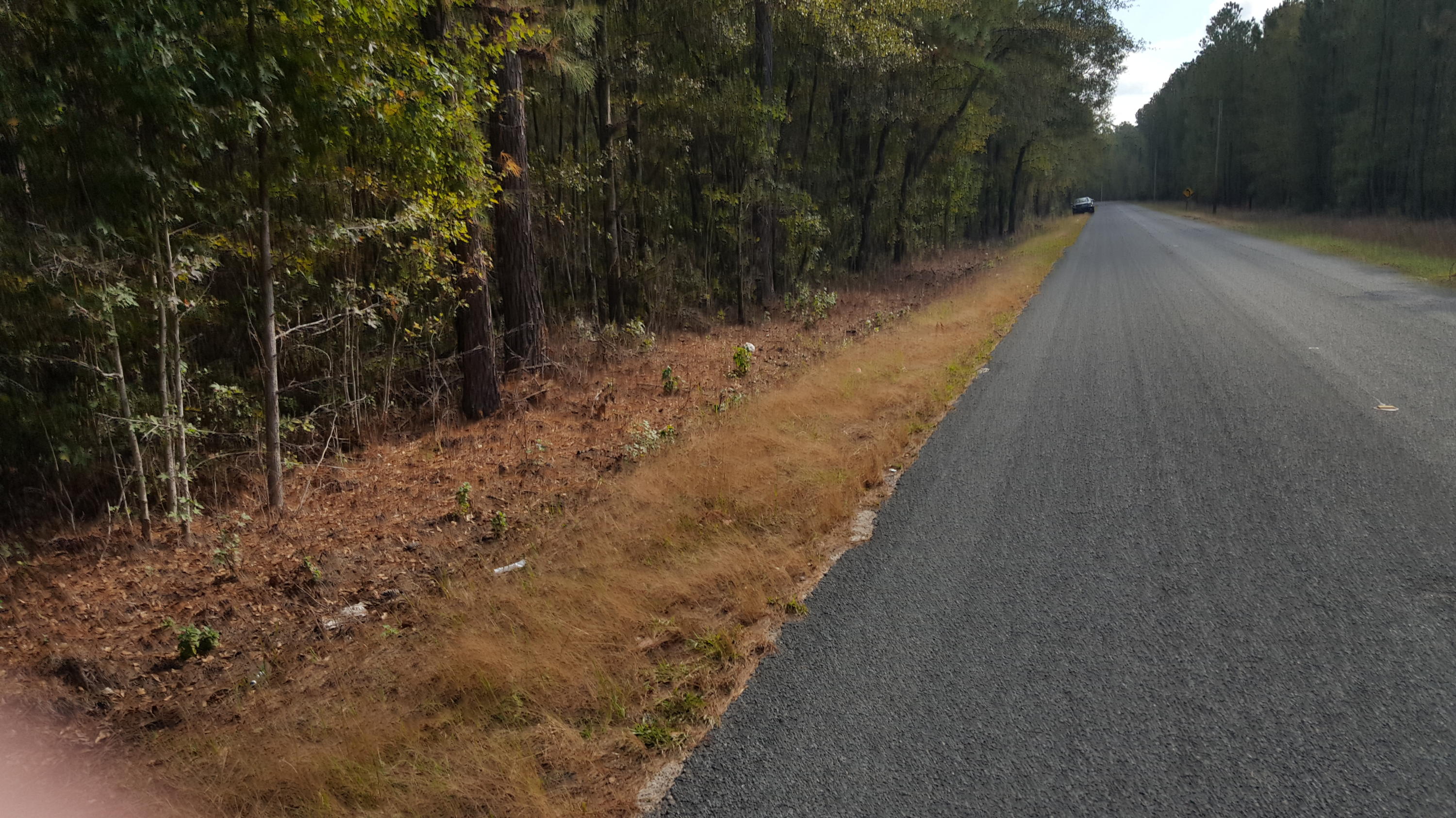 O Maple Ridge Road Walterboro, SC 29488 - Photo 5 of 11 M-9