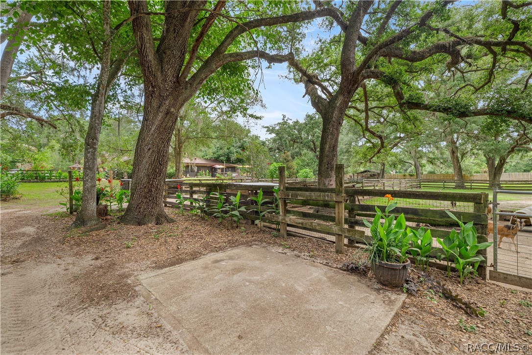 4556 East View Top Lane Inverness, FL 34452 - Photo 37 of 67