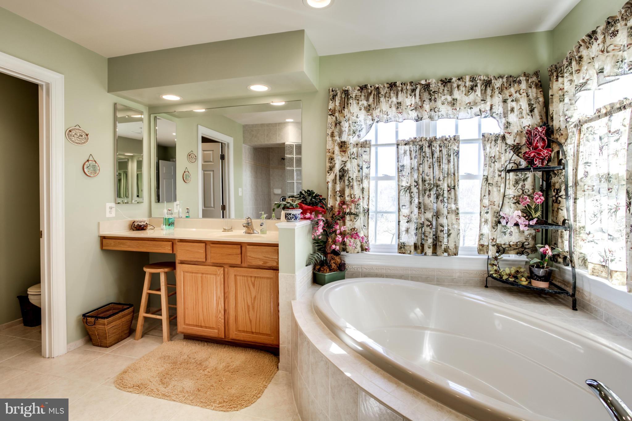 11106 Riverview Road Fort Washington, MD 20744 - Photo 18 of 30 Bath (Master)