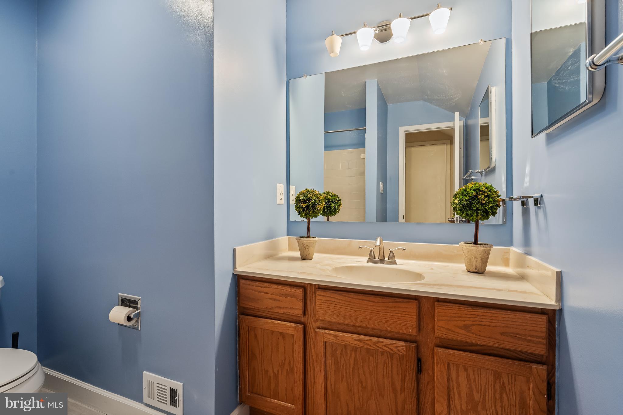 11019 Thrush Ridge Road Reston, VA 20191 - Photo 27 of 28 a bathroom with a sink and a mirror