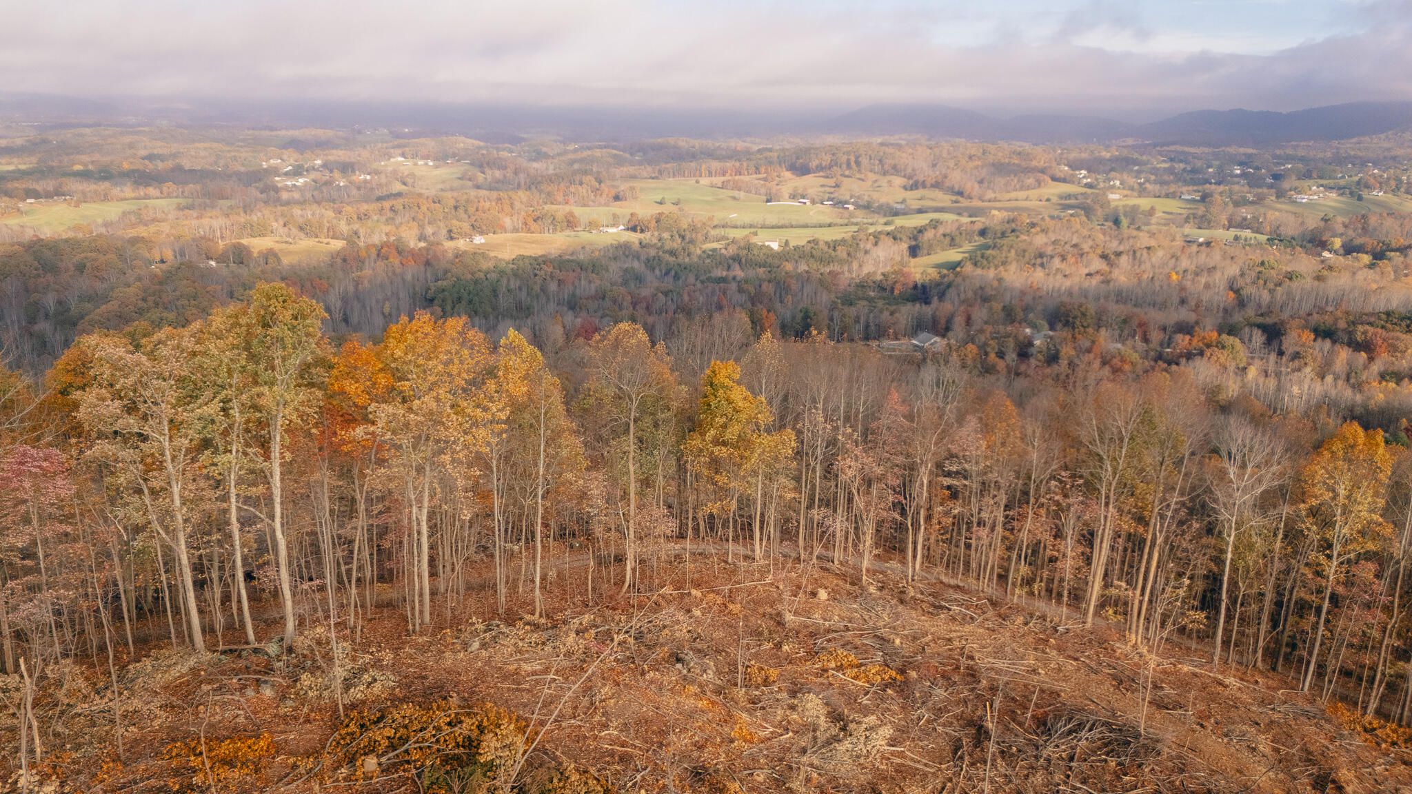 0 Mill Iron Road Goodview, VA 24095 - Photo 11 of 19 Bedford-111- pic 17