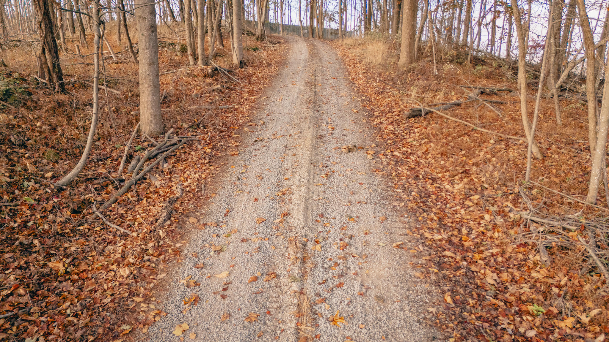 0 Mill Iron Road Goodview, VA 24095 - Photo 17 of 19 Bedford-111- pic 28