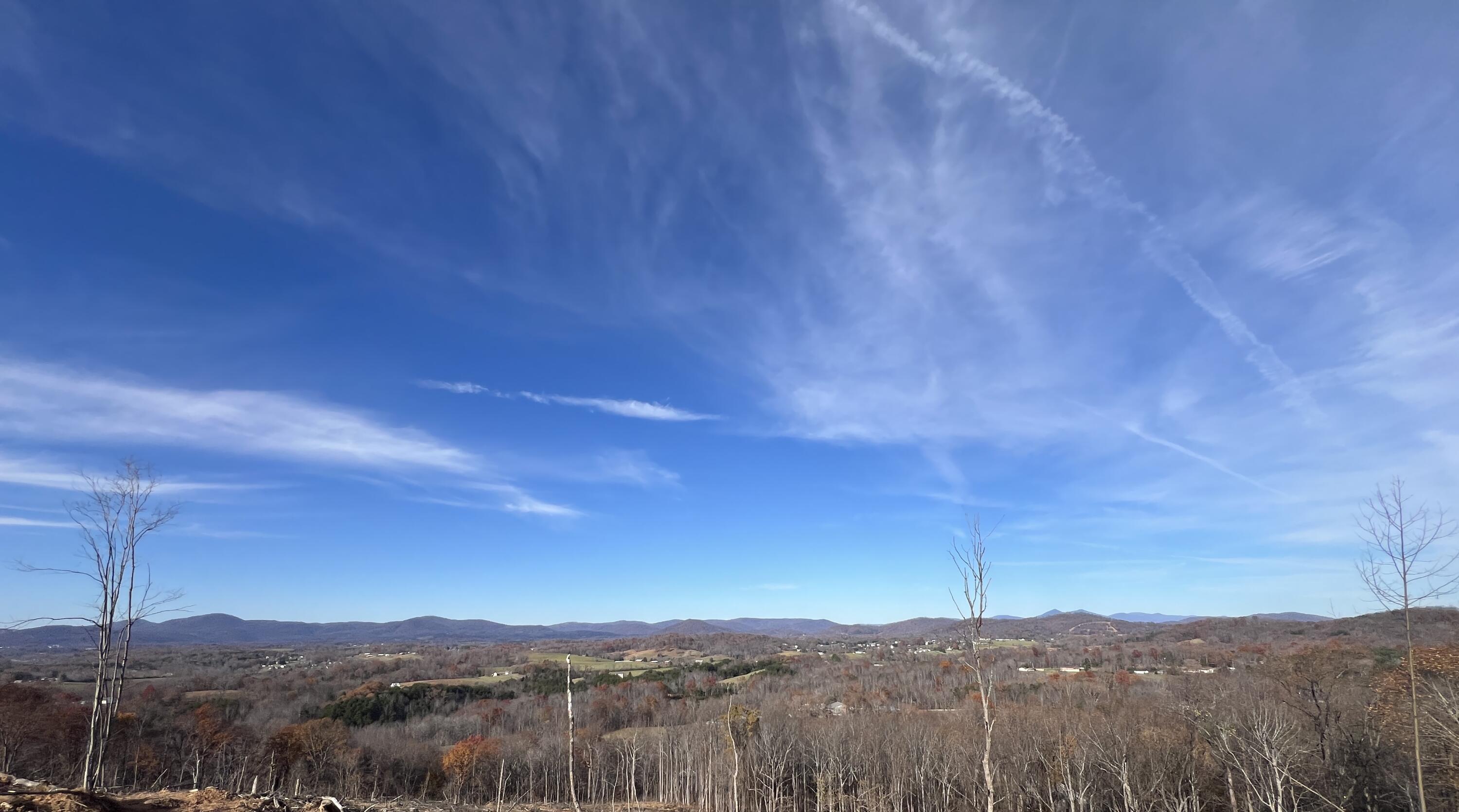 0 Mill Iron Road Goodview, VA 24095 - Photo 10 of 19 Youngblood 111-5