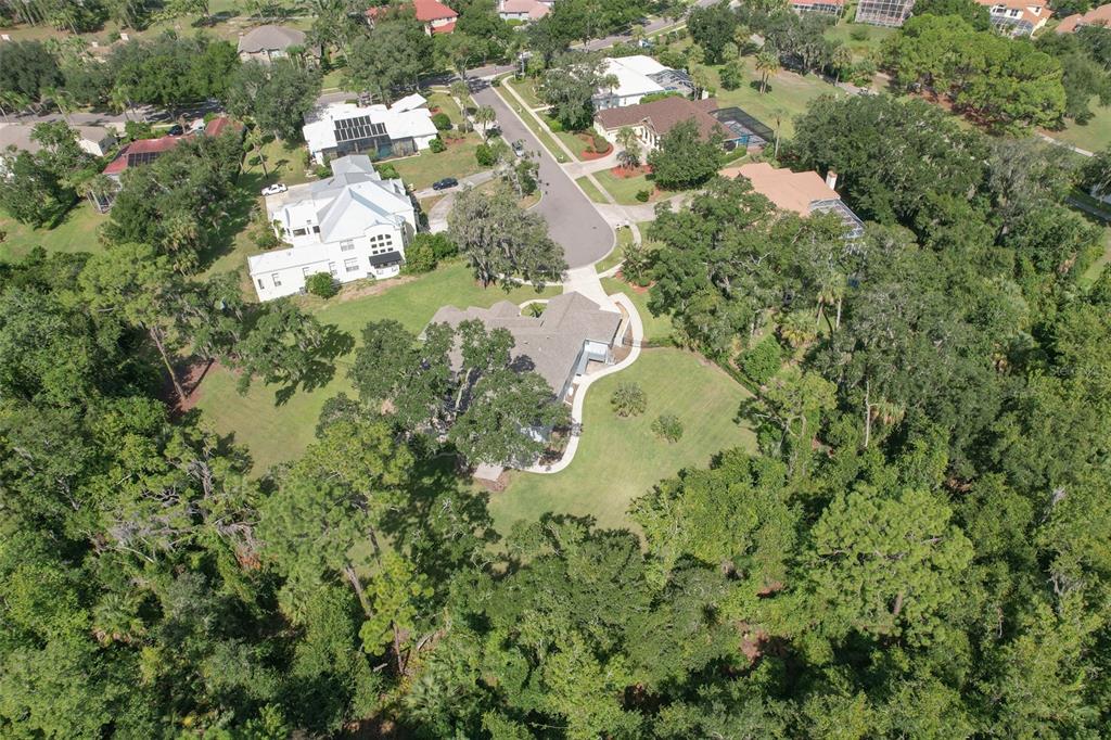 5207 Merion Road Valrico, FL 33596 - Photo 86 of 100 Gallery Image 86