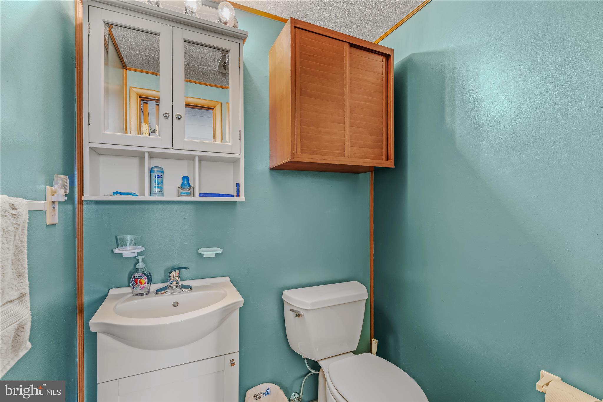 28 Gray Ridge Lane Berkeley Springs, WV 25411 - Photo 20 of 46 a bathroom with a toilet sink and mirror