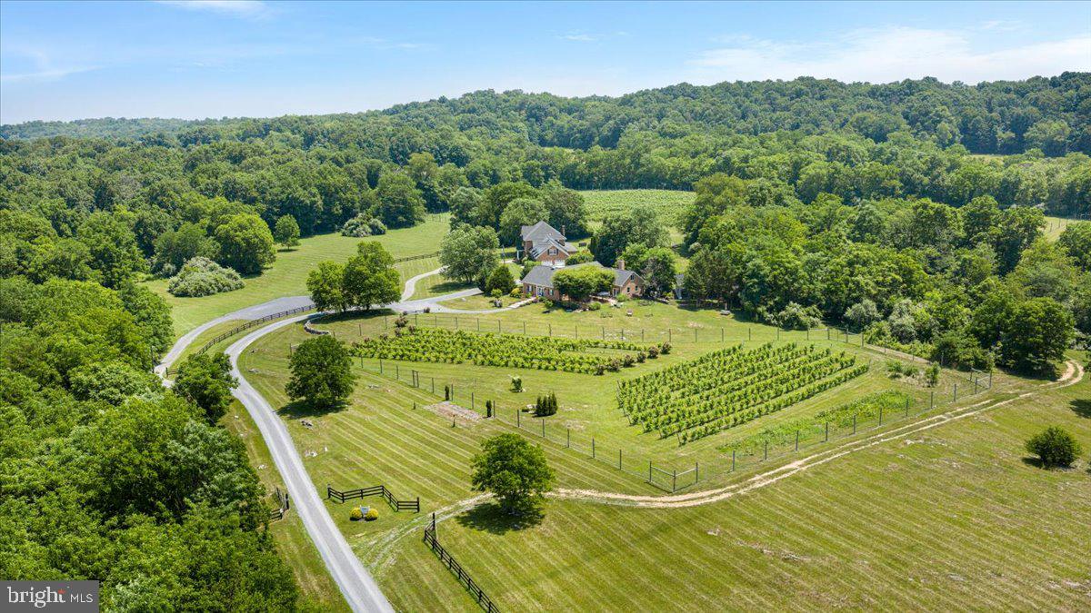 450 Green Spring Road Winchester, VA 22603 - Photo 55 of 66 Entrance to Briede Family Vineyards