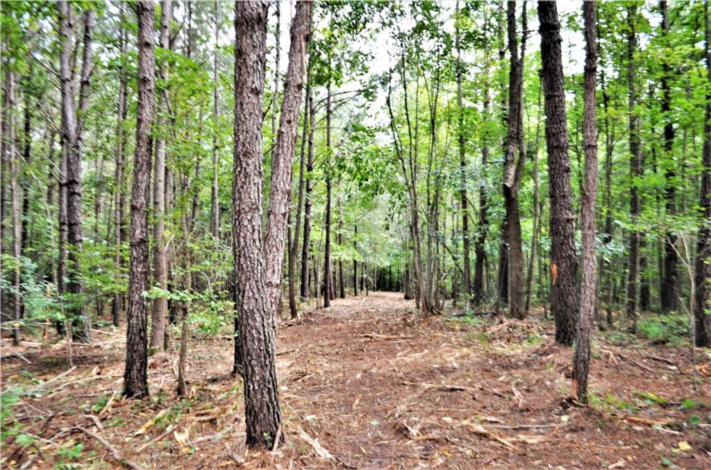 0 South S Highway Roopville, GA 30170 - Photo 1 of 1 a view of outdoor space and trees