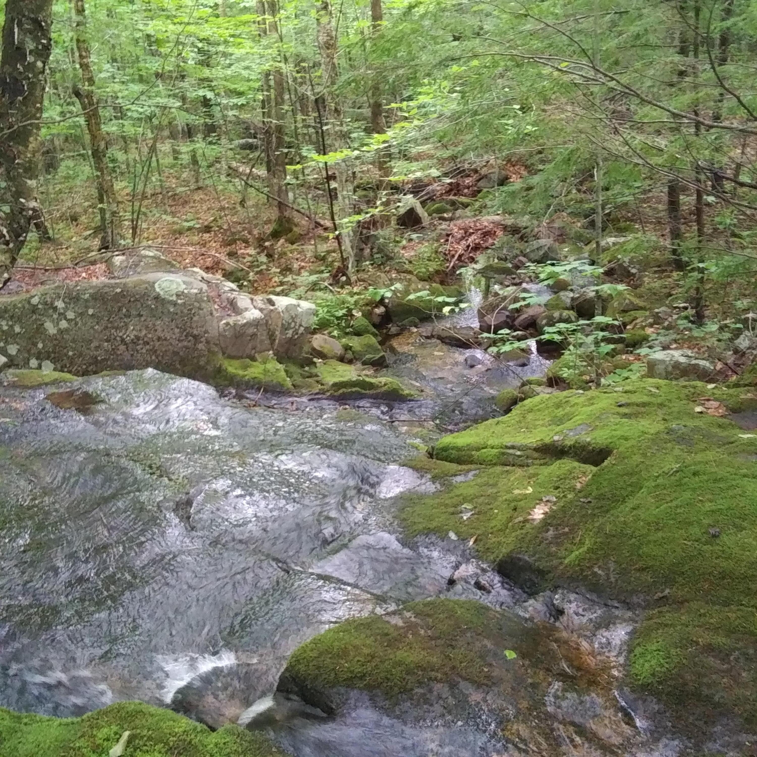 another view of the brook
