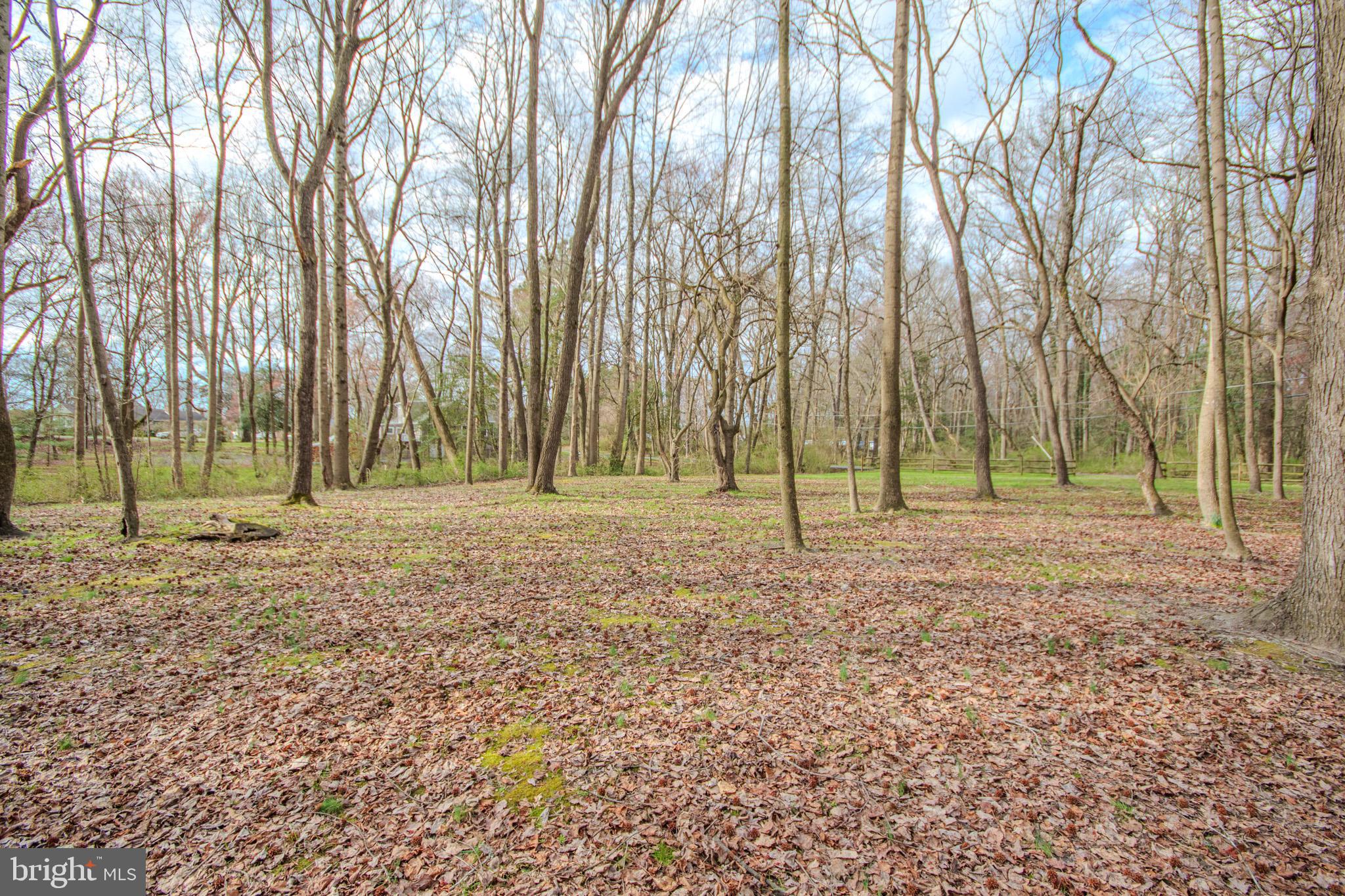 703 Parker Road Salisbury, MD 21804 - Photo 50 of 55 Gallery Image 50