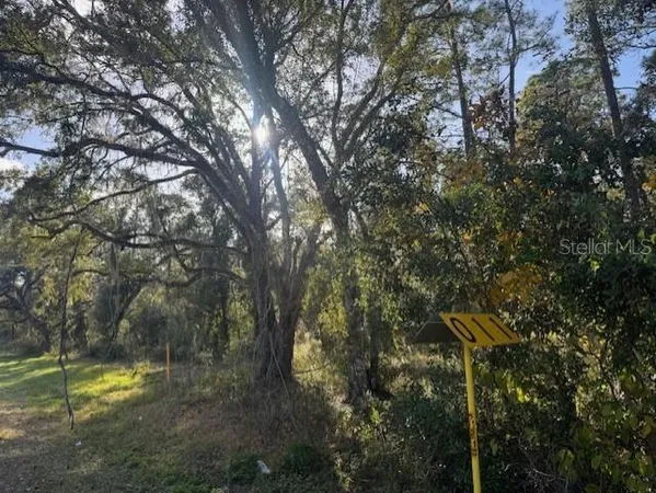 a view of a lake with a tree