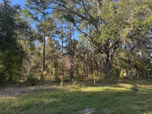 a view of outdoor space