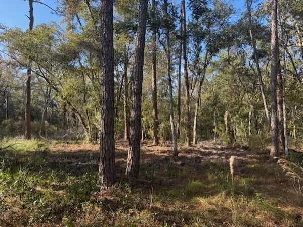 a view of outdoor space with trees