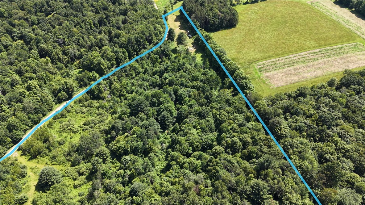 409 Cty Road Cincinnatus, NY 13040 - Photo 16 of 29