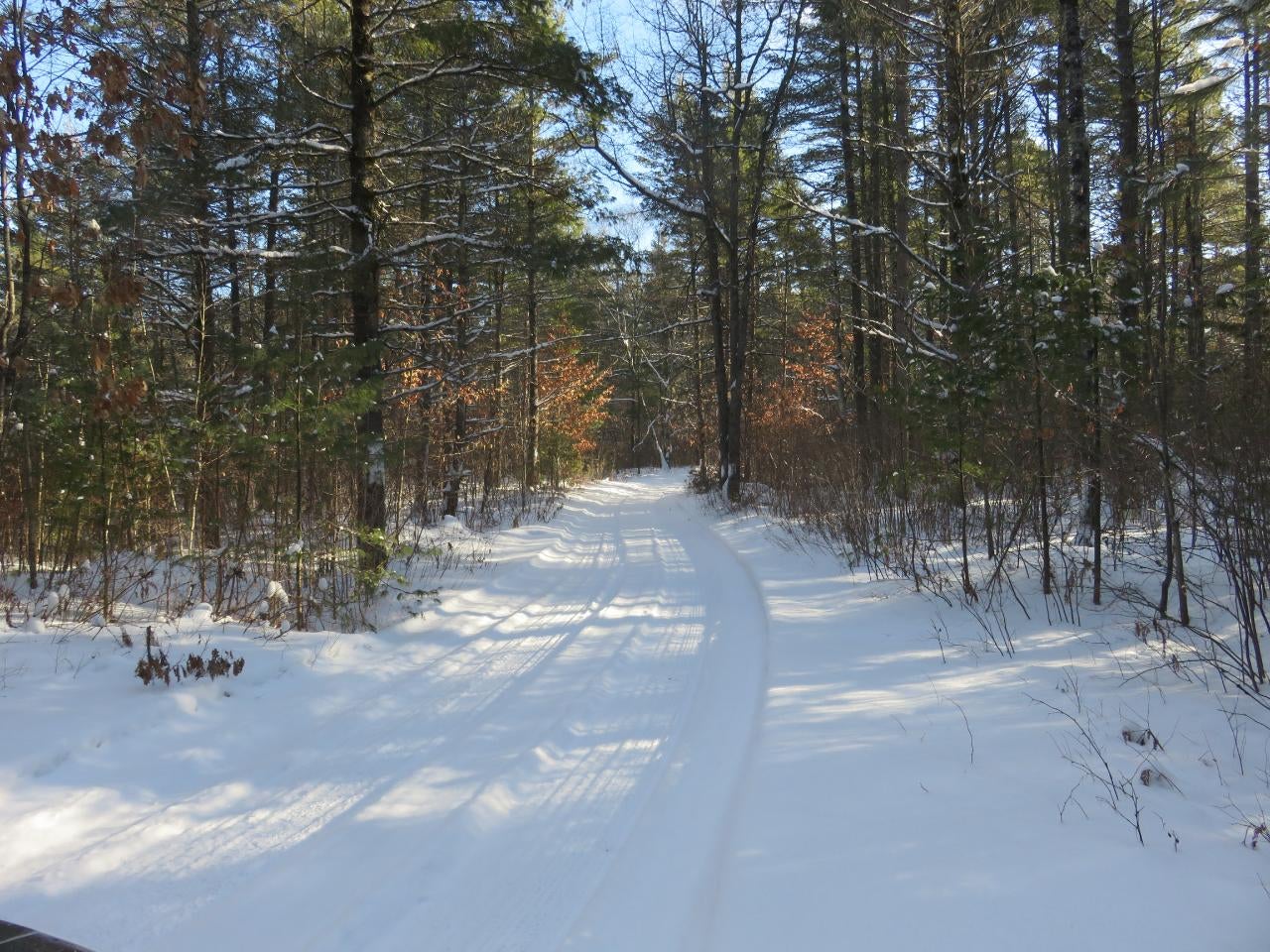Off Marathon Road Manitowish Waters, WI 54545 - Photo 6 of 10 Gallery Image 6